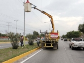 Fiesta del asfalto en Aragua