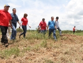 Inspección a las siembras de maíz en el sector La Mula. 19 de septiembre de 2013
