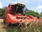 Inspección a las siembras de maíz en el sector La Mula. 19 de septiembre de 2013