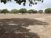 Plan de rehabilitación del parque Agustín Codazzi. 17 de julio de 2014